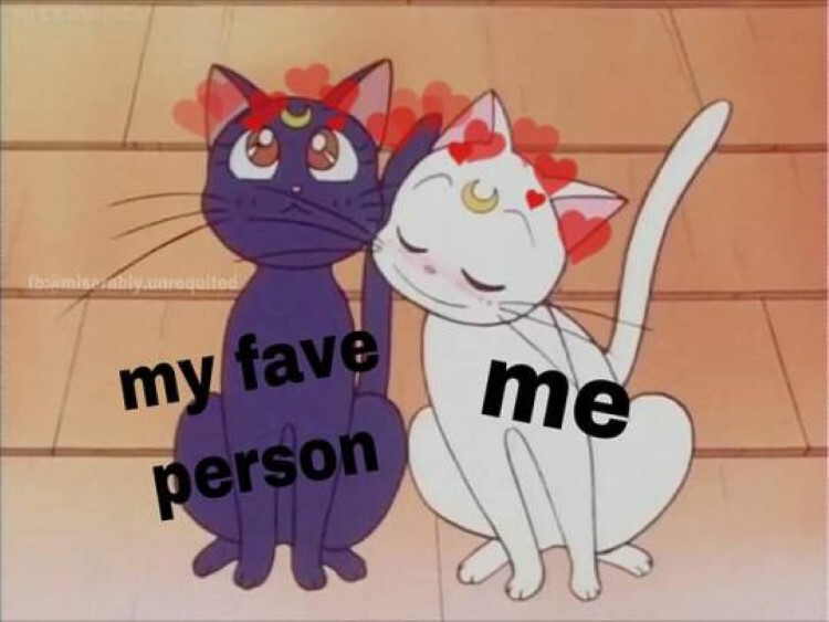 Me and my fave person meme