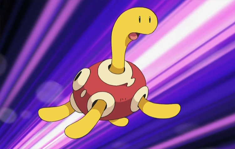 Shuckle Pokémon anime screenshot