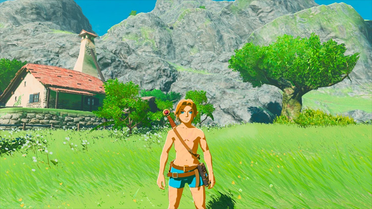 BotW: Second Wind Legend of Zelda mod screenshot