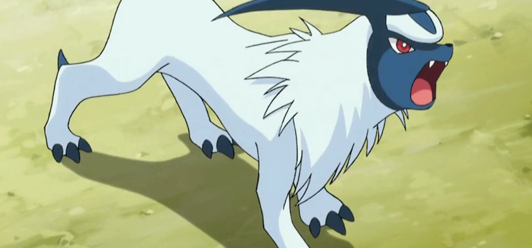 Absol battle in Pokemon anime