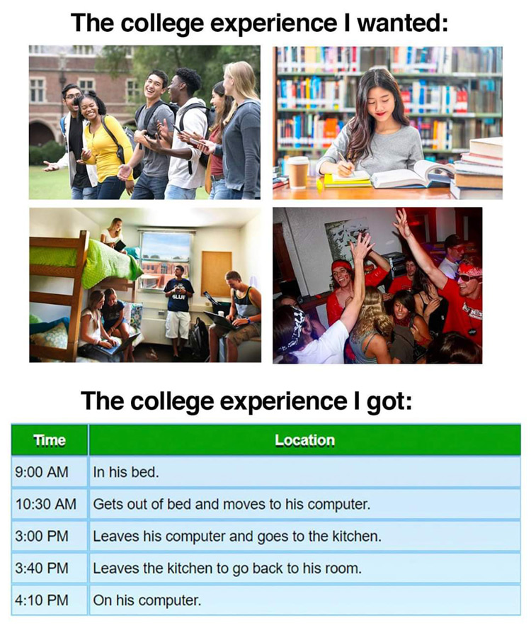Stardew Valley college experience