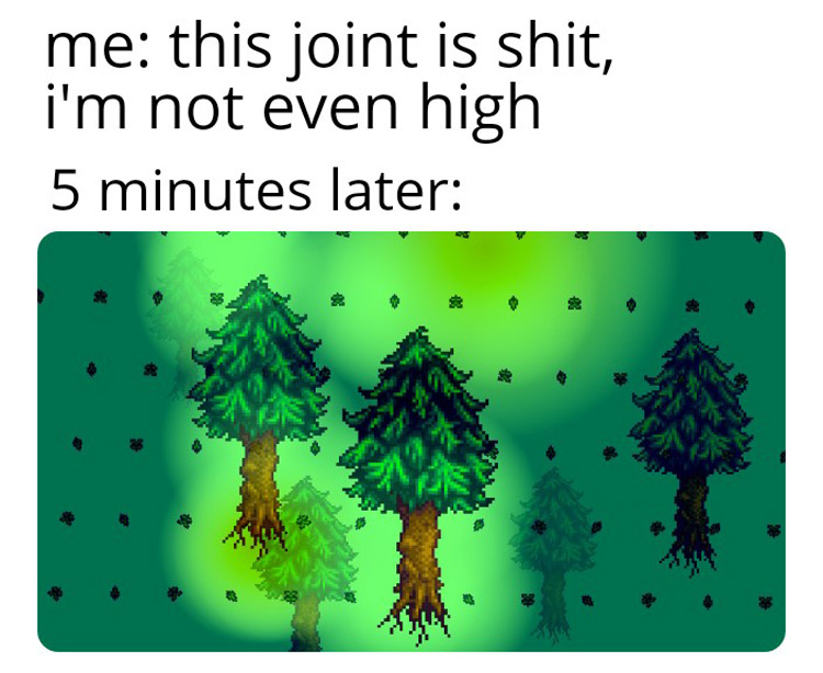 This joint aint even high Stardew meme