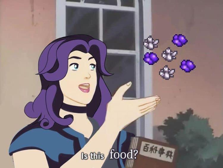 Is this food? Stardew crossover meme