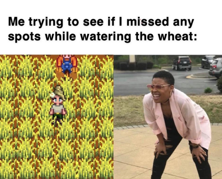 Trying to see if I missed any spots meme