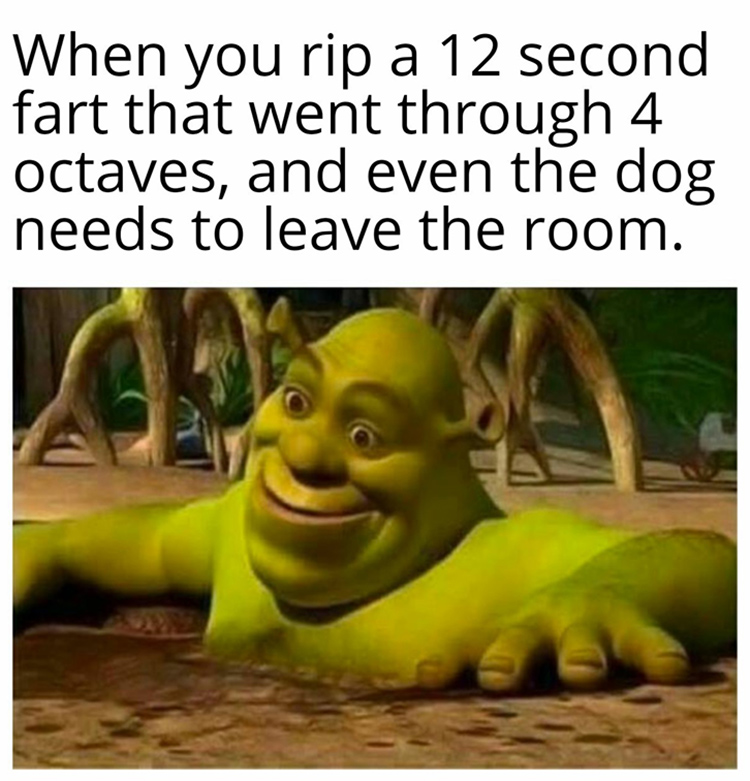 Shrek Meme Discover more interesting Face, Giant, Green, Monster memes.