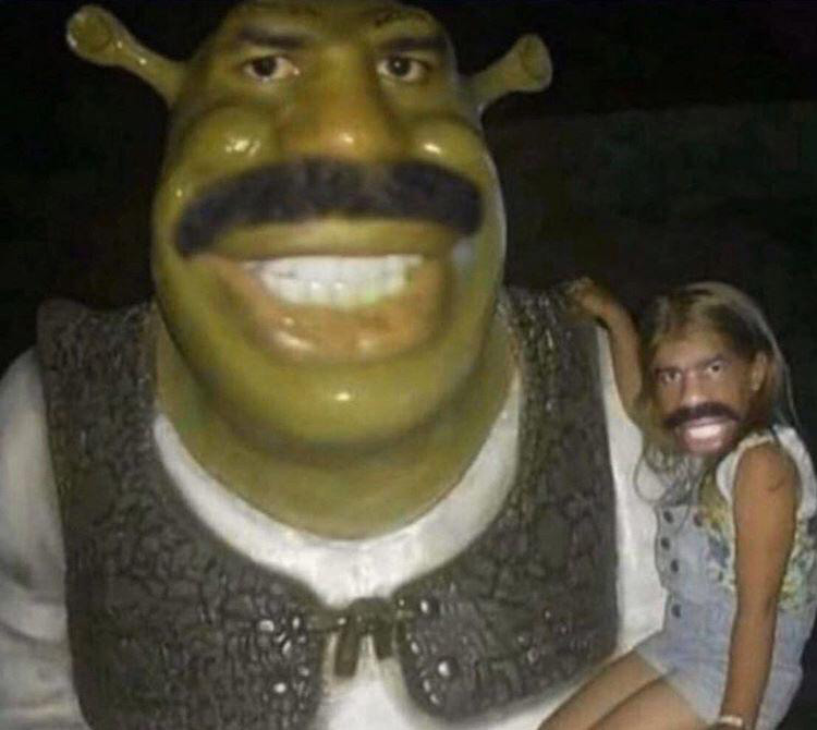 The 82 Funniest Shrek Memes In The History Of Humanity