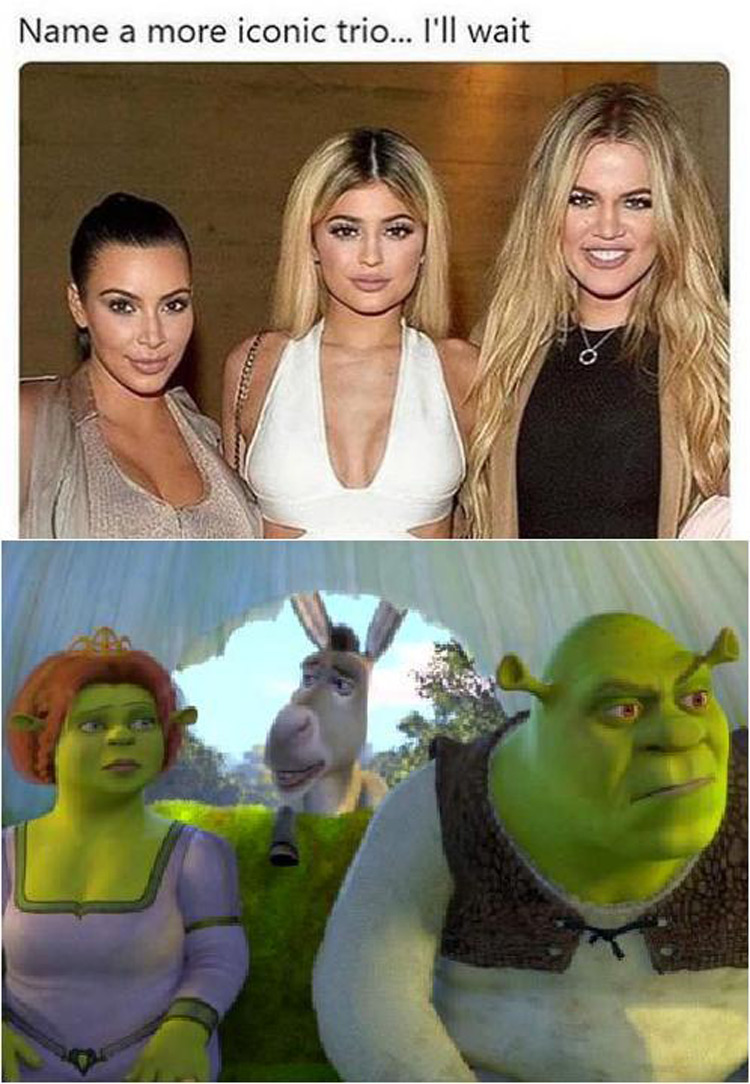 memes shrek quem é fiona