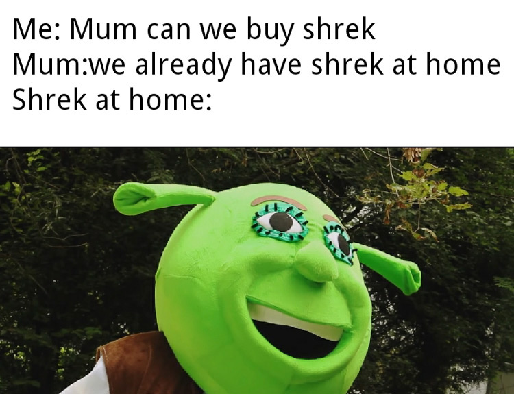 Can we buy shrek meme