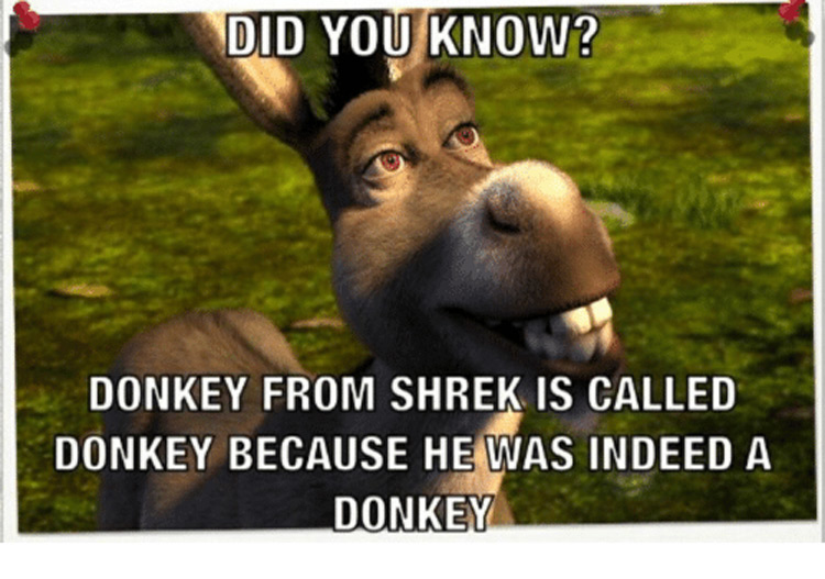 150  Funny Shrek Memes For True Ogres  And Donkeys    FandomSpot - 1