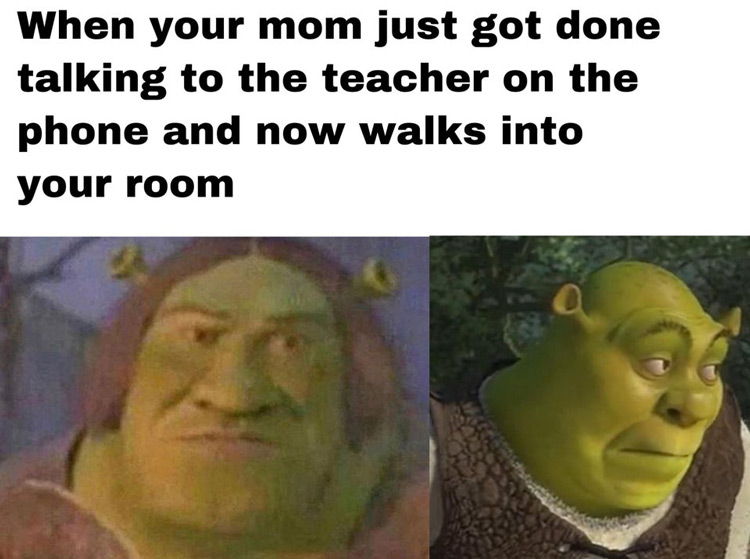 Shrek meme 🤠  Shrek funny, Shrek memes, Shrek