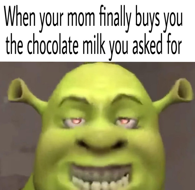 Mom finally buys my chocolate milk meme