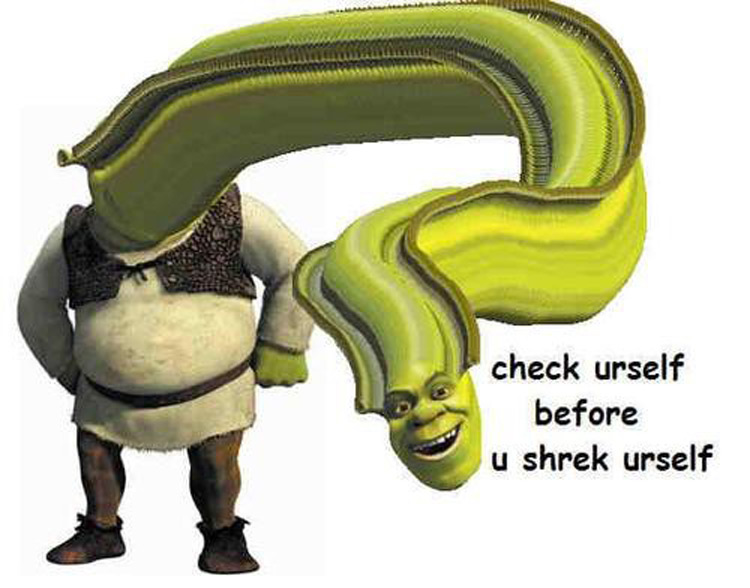 150+ Funny Shrek Memes For True Ogres (And Donkeys) – FandomSpot