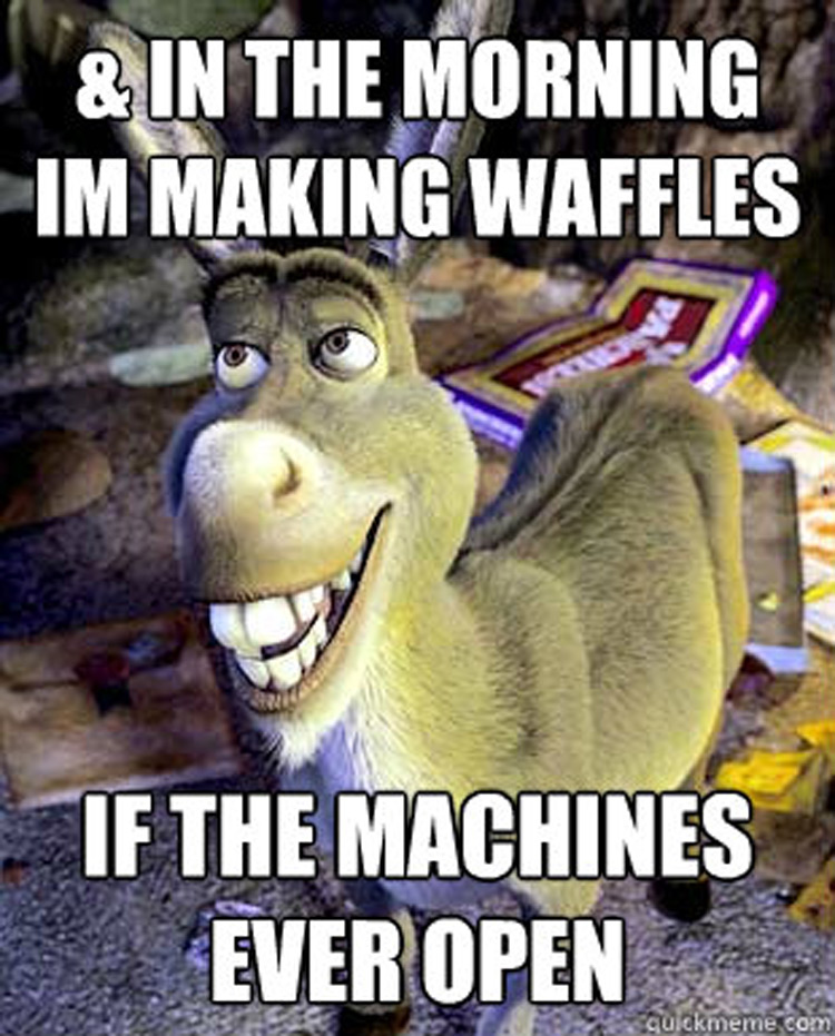 Morning im making waffles meme