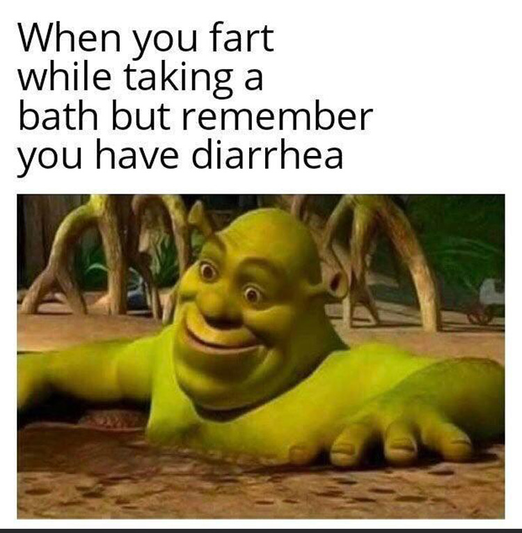 Shrek farted but remembers diarrhea meme