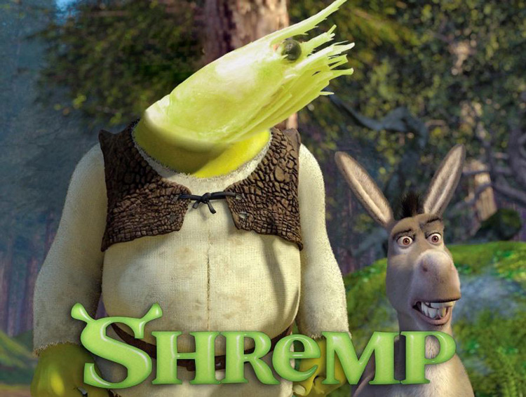 Shremp donkey meme