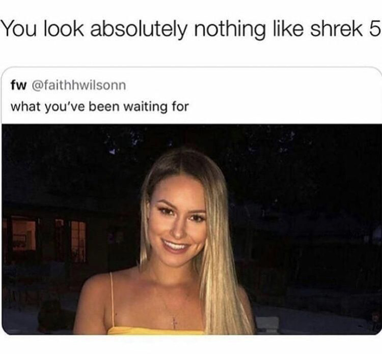 You look nothing like Shrek 5