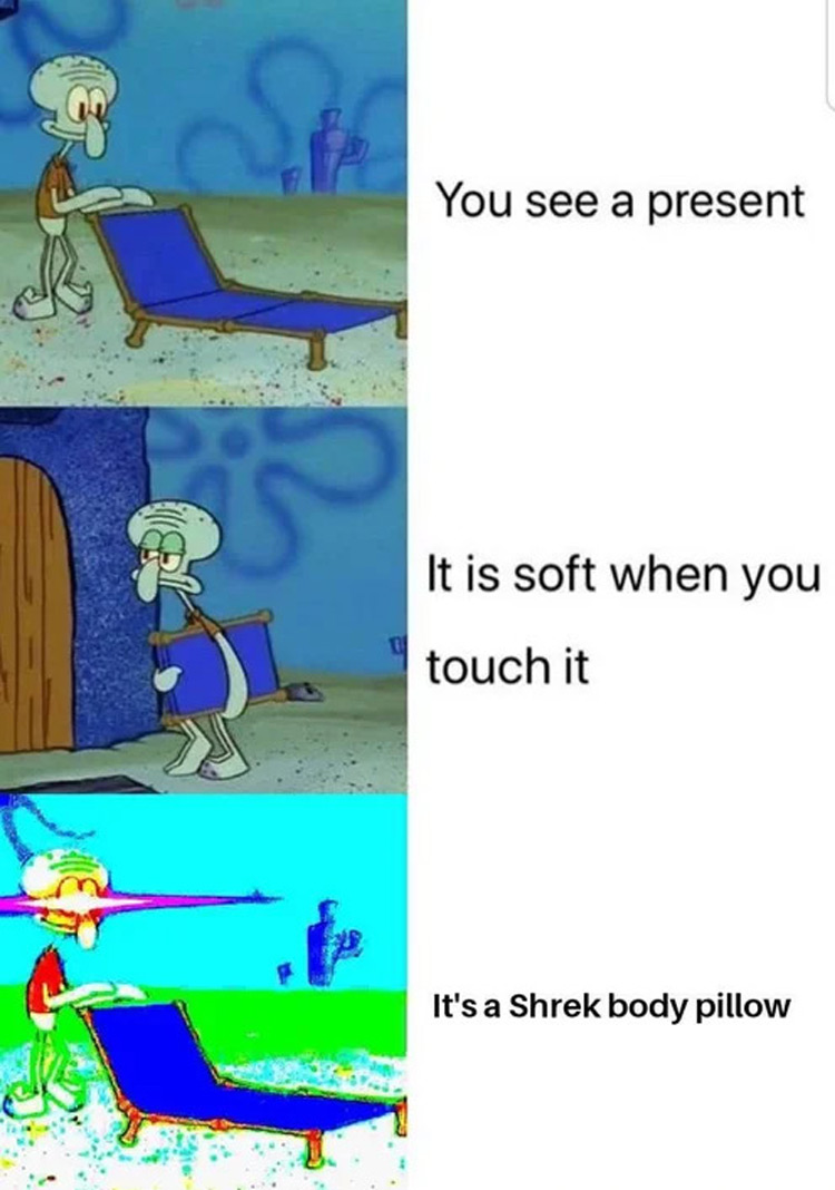 Shrek body pillow meme
