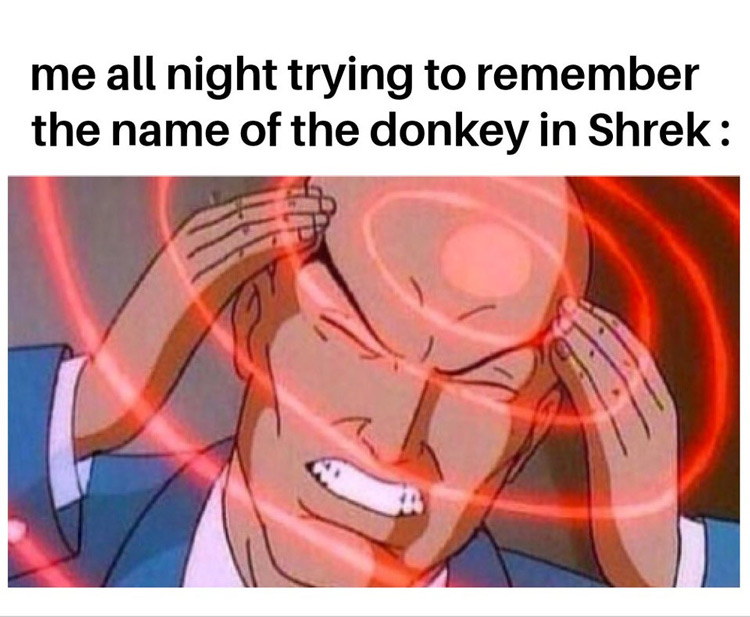 Me all night remebering the name of donkey