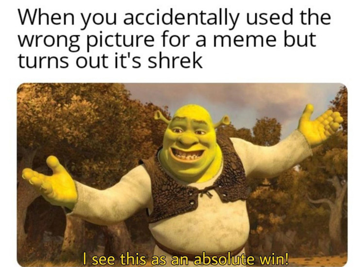 150+ Funny Shrek Memes For True Ogres (And Donkeys) – FandomSpot