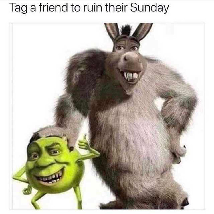 150  Funny Shrek Memes For True Ogres  And Donkeys    FandomSpot - 79