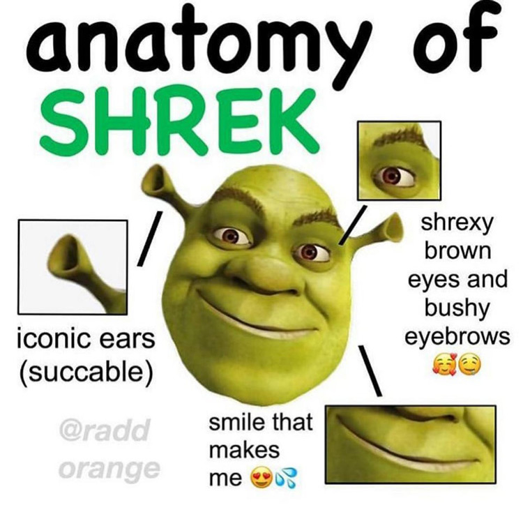 Anatomy of Shrek meme