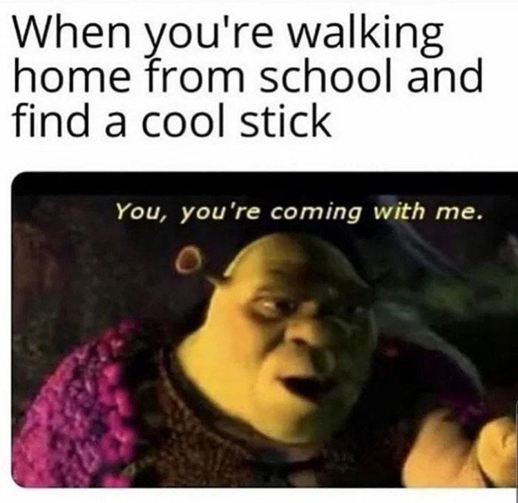 When youre walking home from school meme