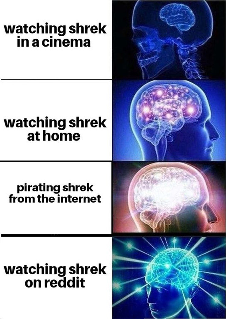Watching Shrek on Reddit meme