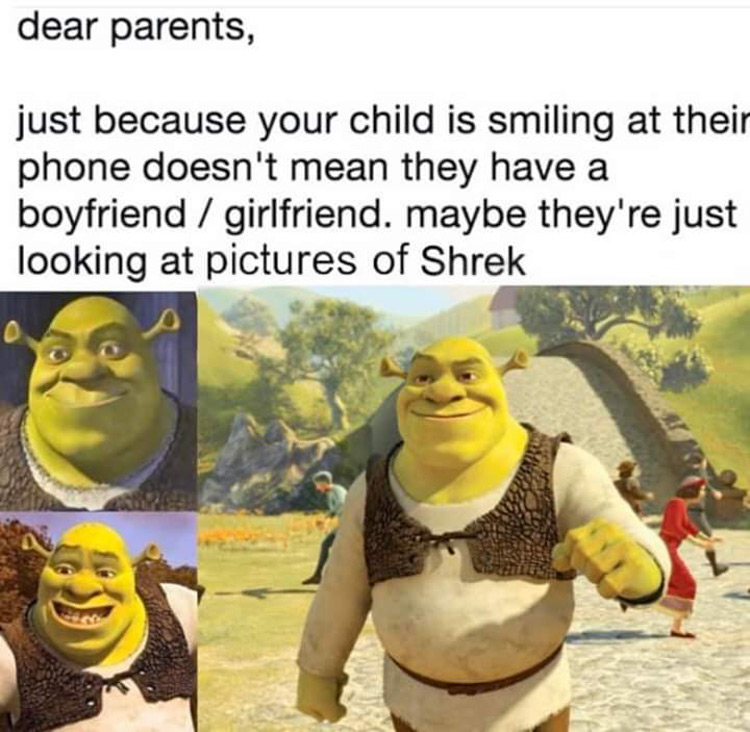 Dear parents, Shrek meme