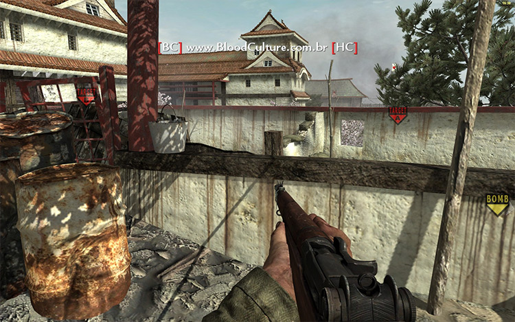 call of duty waw graphics mod