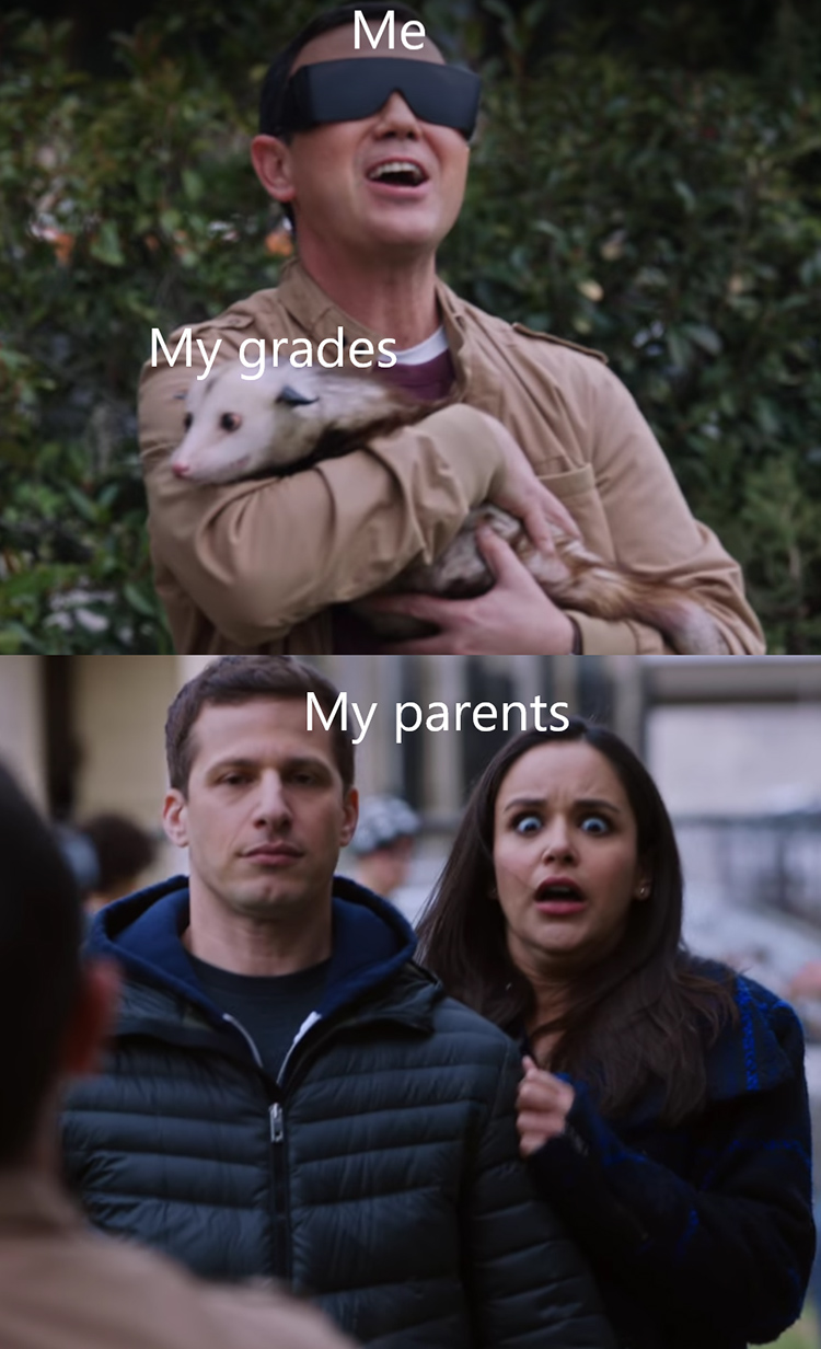 Bad grades meme