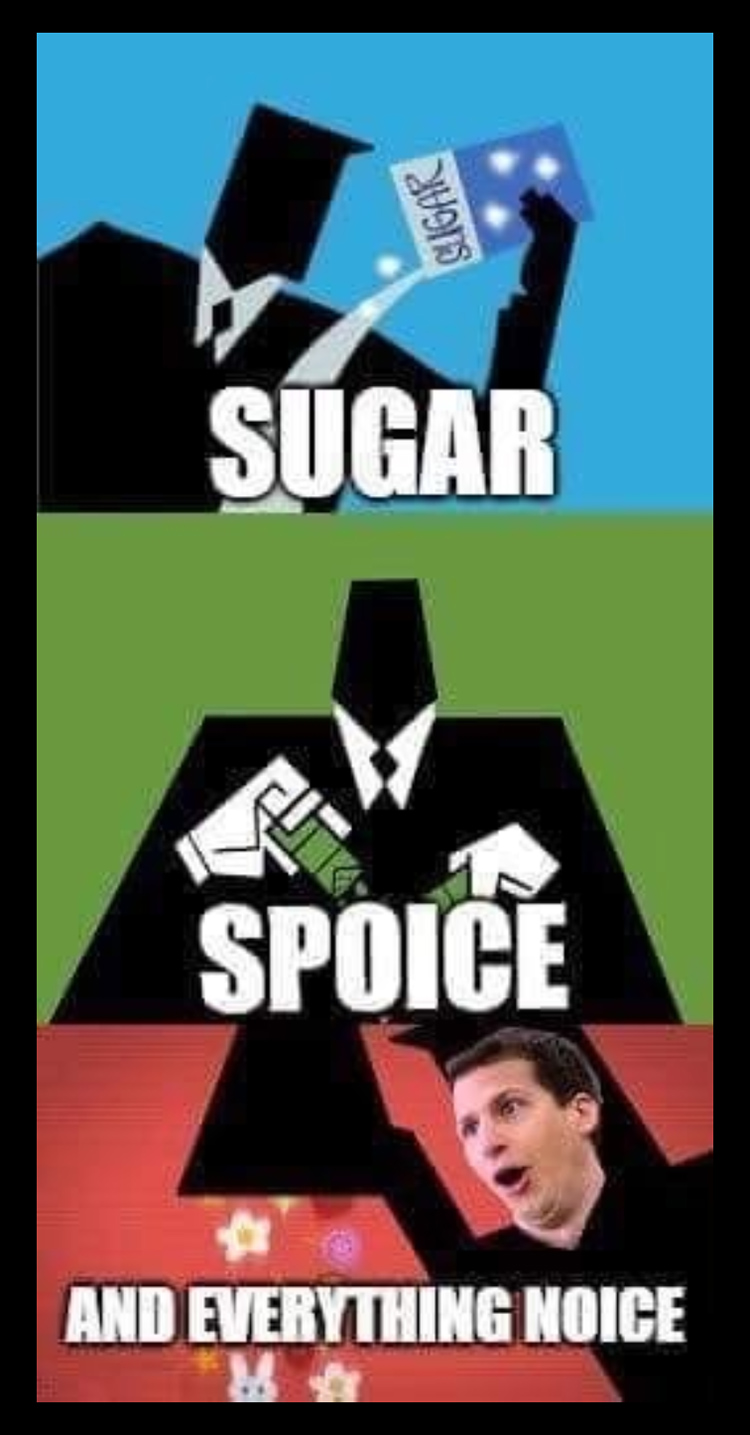 Sugar, Spice Powerfull Girls and B99 Meme