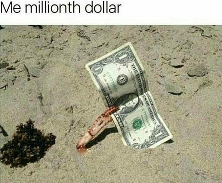 Me Millionth Dollar meme