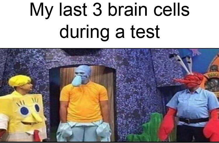 Last 3 brain cells meme
