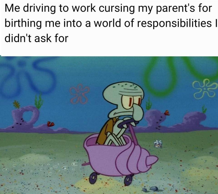 120+ Best Squidward Memes Reminding You That We Serve Food Here, Sir ...