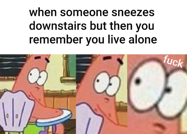 Hearing sounds living alone meme