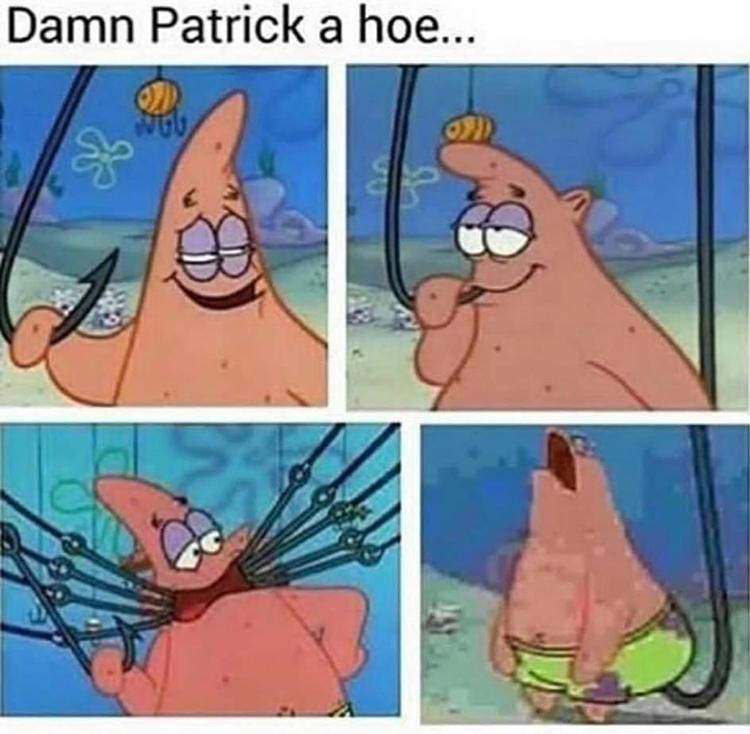 Patrick hooks hoe meme