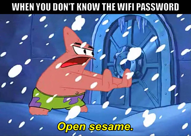 Don't know the wifi password meme