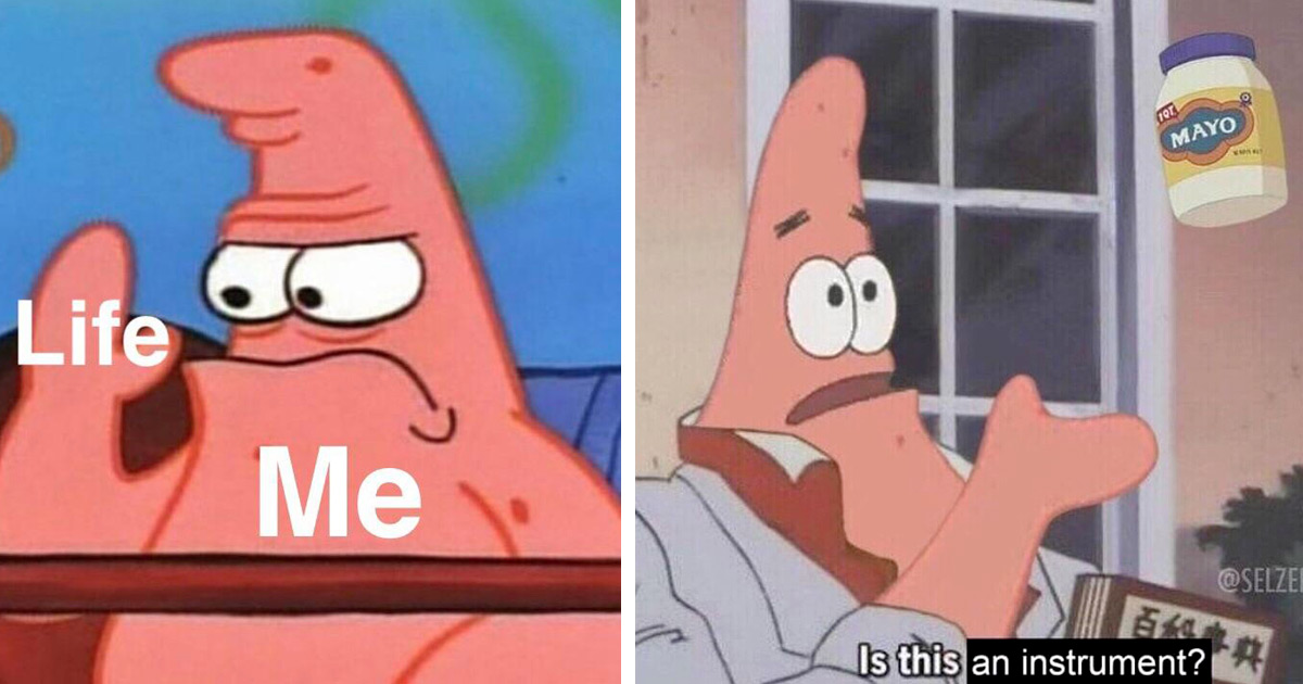 120 Patrick Star Memes That Have Acquired A Taste For Free Form Jazz 120 Patrick Star Memes That Have Acquired A Taste For Free Form Jazz