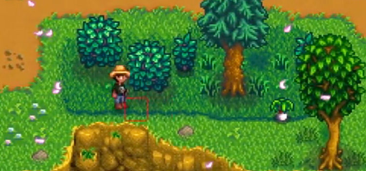 Where To Get Leeks in Stardew Valley