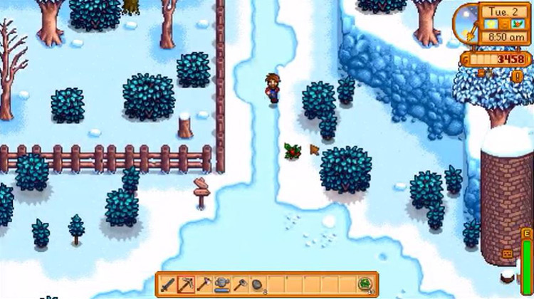 Foraging for wild holly in winter / Stardew Valley Screenshot