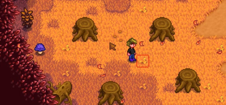 Wild Purple Mushroom Location in Stardew Valley