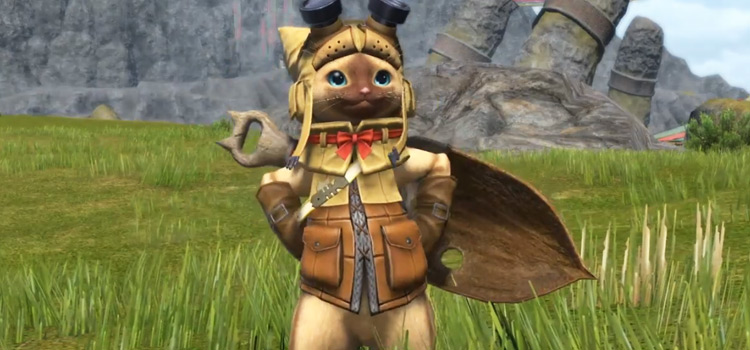 Close-up Palico Minion in FFXIV