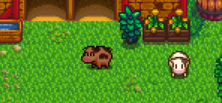 Stardew Valley Harvest Moon Mods For A Fun Crossover
