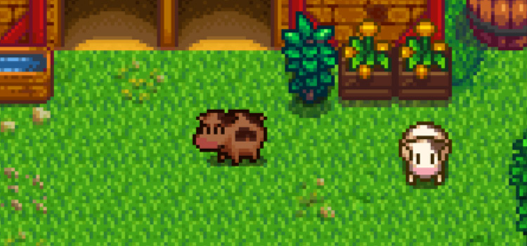 Harvest Moon Cow Sprites Mod for Stardew Valley