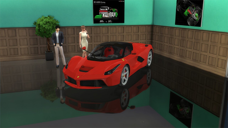 Ferrari LaFerrari Car / TS4 CC
