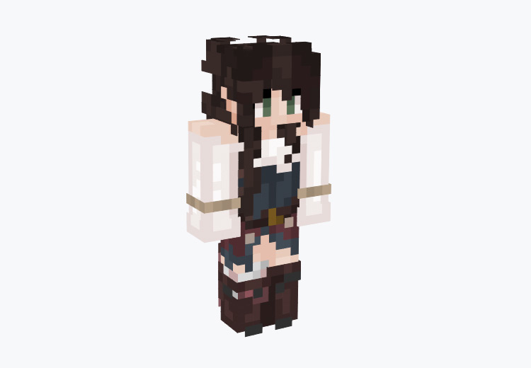 Fairy Pirate Girl with Dark Hair / Minecraft Skin