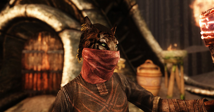 Face Masks of Skyrim mod