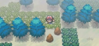 Giant Chasm Forest in Pokémon White
