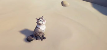 Fluffy cat on the beach / Sea of Thieves