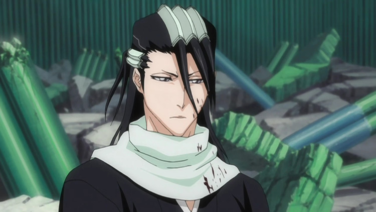 Byakuya Kuchiki Bleach anime screenshot